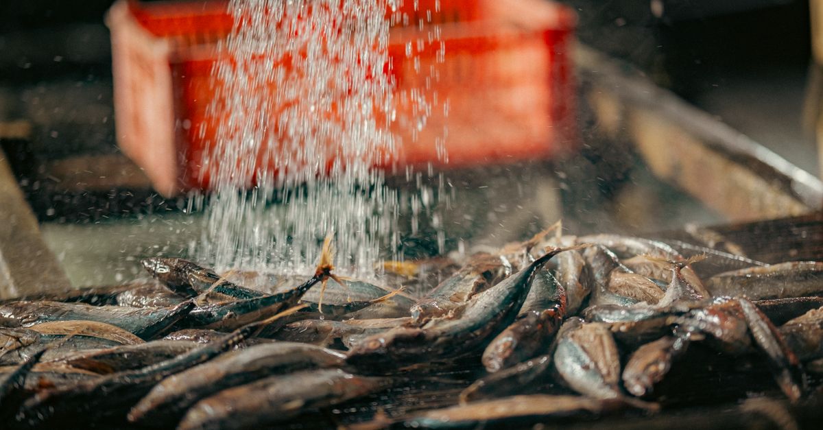 Cara AI Menilai Risiko Keterlambatan Supplier ERP