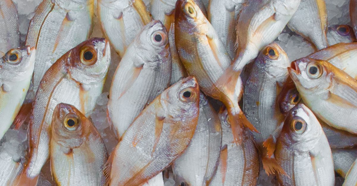 Cara Menilai Kinerja Supplier Lewat ERP dengan Mudah